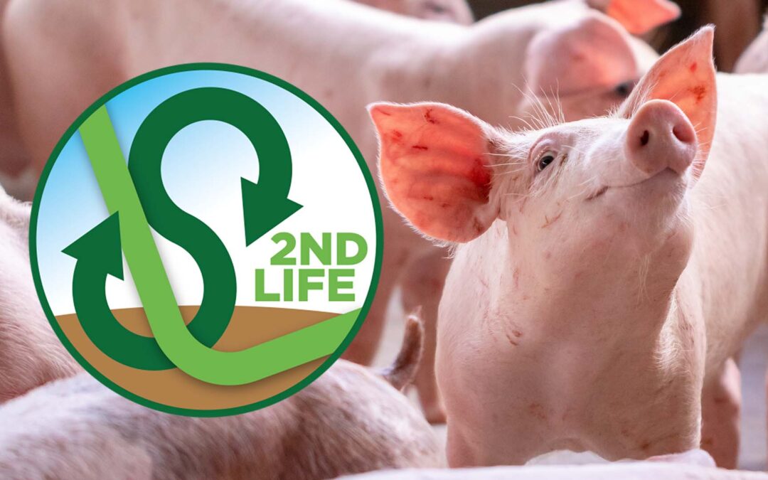 2ndLife. Il progetto di economia circolare spiegato in quattro punti chiave