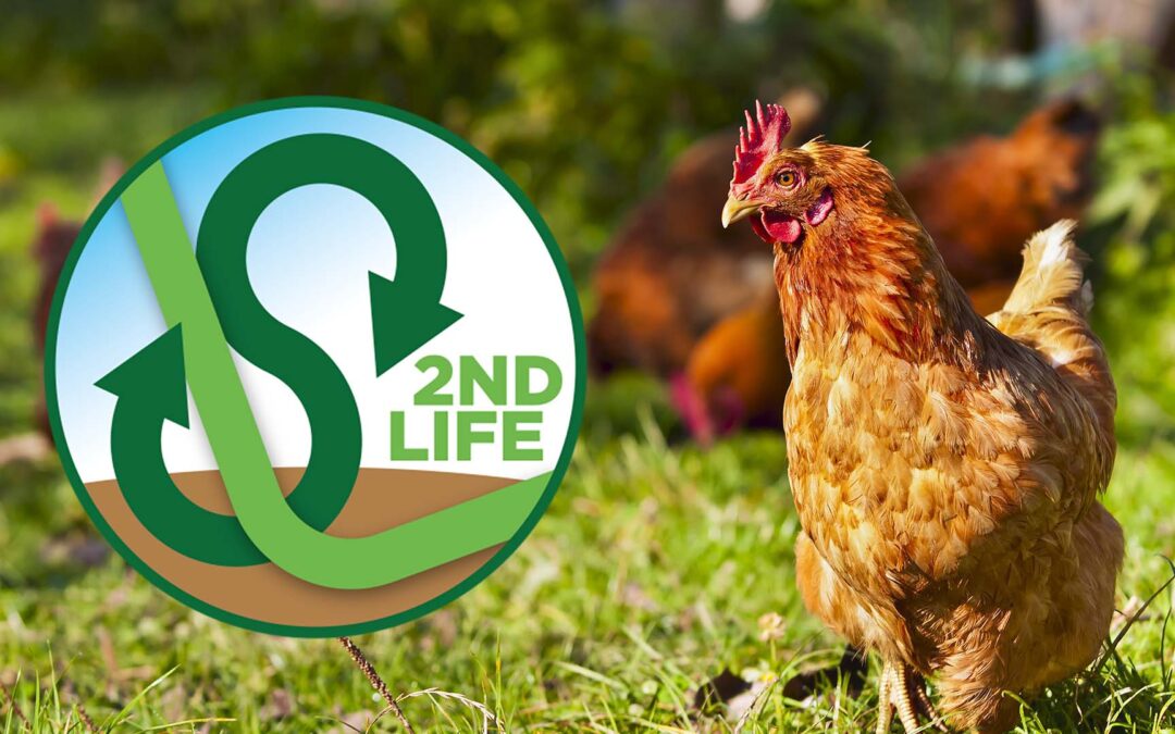 2ndLife. La bioconversione di scarti e sottoprodotti agricoli toscani attraverso l’uso di larve di insetto per la produzione di mangimi zootecnici