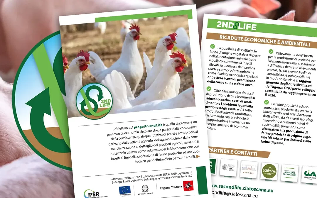 La brochure del progetto 2ndLife. Il file scaricabile in PDF