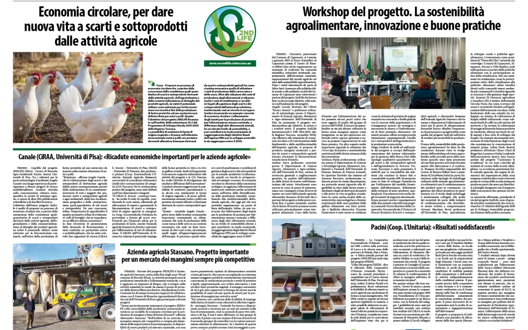 Sostenibilità in agricoltura. Speciale 2ndLife su Dimensione Agricoltura di febbraio 2025, i risultati del progetto