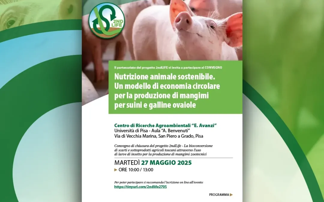 CONVEGNO / Nutrizione animale sostenibile. Un modello di economia circolare per la produzione di mangimi per suini e galline ovaiole